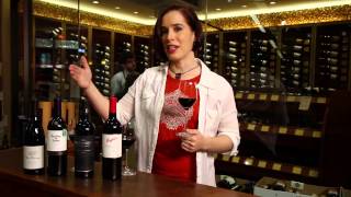 Pinot Noir Merlot Cabernet Sauvignon Shiraz Syrah  Red Wine Guide [upl. by Assylem]