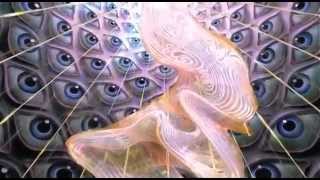 ▶ DMT The Spirit Molecule  2010 [upl. by Cicero]