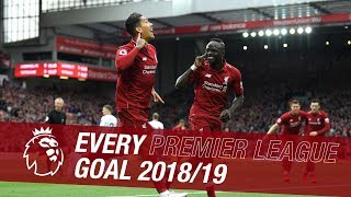 All 89 of Liverpools Premier League goals from the 201819 season [upl. by Inihor]