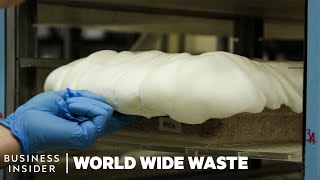 How Mushrooms Are Turned Into Bacon And Styrofoam  World Wide Waste [upl. by Couq176]