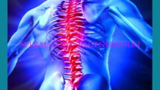 Spinal Cord Healing Frequency Spine Subliminal amp Regeneration Frequency [upl. by Ecinom859]