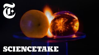 Why Microwaved Grapes Explode  ScienceTake [upl. by Benia]