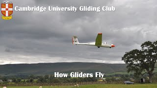 How Gliders Fly [upl. by Nnagrom]