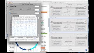 Subcloning using Serial Cloner [upl. by Enetsuj]