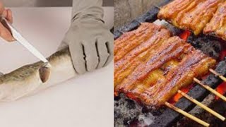 How to clean and cook American eel [upl. by Zane]