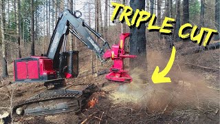 TimberPro TL775D  Triple Cutting Monster Timber [upl. by Audly307]