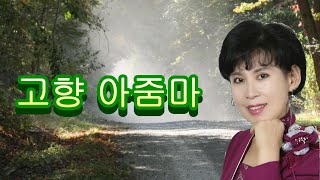 듣기좋은 트로트고향 아줌마 가수 혜인원곡 김상진 [upl. by Blane539]