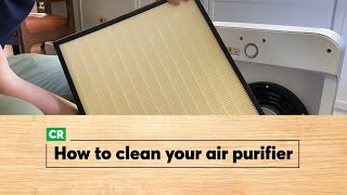 How to Clean an Air Purifier  Consumer Reports [upl. by Melodie]