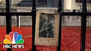 Armistice Day London Poppies Honor WWI Soldiers  NBC News [upl. by Topper]