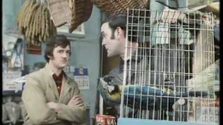 Monty Python The Parrot Sketch amp The Lumberjack Song movie versions HQ [upl. by Aryamo]