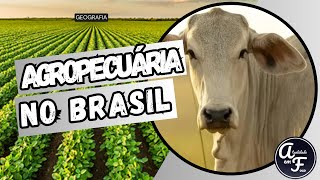 AGRICULTURA E PECUÁRIA NO BRASIL GEOGRAFIA [upl. by Alisha757]