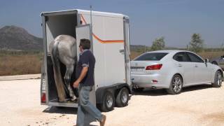 Carro  Remolque transporte 1 caballo [upl. by Ozne]