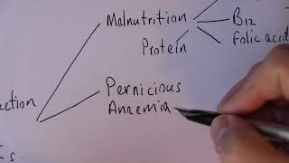 Anaemia 1 Types and causes of anaemia [upl. by Ecnahc]