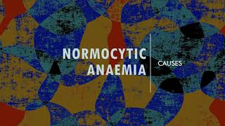 Normocytic Anaemia  Causes [upl. by Jephthah]