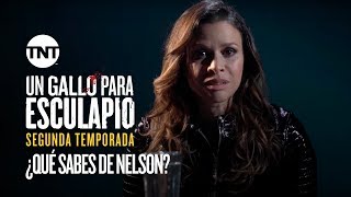 ¿Qué sabes de Nelson  Un Gallo Para Esculapio  Segunda Temporada [upl. by Atiuqram]