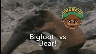 Kodiak Brown Bear Vs Bigfoot Who Would Win [upl. by Rothschild]