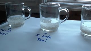 Important Knowledge  Rice Water Experiment  Dr Emoto Research [upl. by Loos]