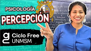 PSICOLOGÍA  Percepción CICLO FREE [upl. by Anaujahs]