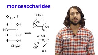 Carbohydrates Part 1 Simple Sugars and Fischer Projections [upl. by Esta]