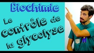 Cours de biochimie Contrôle de la glycolyse vidéo [upl. by Niabi]