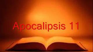 APOCALIPSIS completo Biblia hablada RV 1960 [upl. by Worth693]