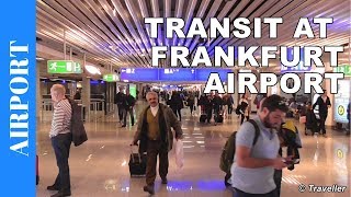 TRANSIT WALK AT FRANKFURT Airport FRA Terminal 1  Connection Flight Transfer Arriving amp Departing [upl. by Akayas]