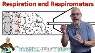 Respiration and Respirometers [upl. by Eliades]