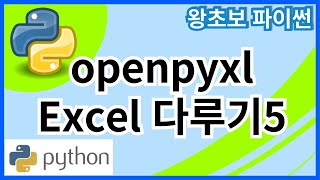 왕초보 파이썬Python 54 Openpyxl 엑셀다루기5 [upl. by Anitsirt]