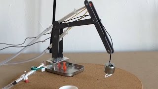 Make A Hydraulic Arm [upl. by Ydoc125]