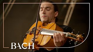 Bach  Cello Suite no 6 in D major BWV 1012  Malov  Netherlands Bach Society [upl. by Andrei]