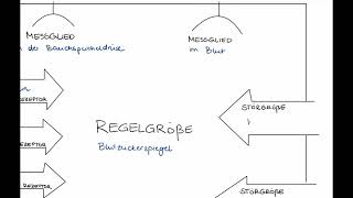 Regulation des Blutzuckerspiegels Regelkreis [upl. by Erdnoed]