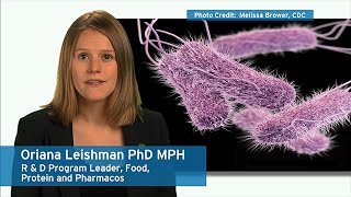 Ecolab Experts on Microbes – Salmonella [upl. by Nylkaj]