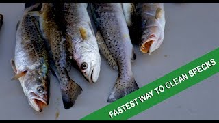 The absolute best way to fillet speckled trout [upl. by Kellie]