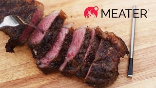 Introduction to MEATER  The First Wireless Smart Meat Thermometer [upl. by Kristi774]