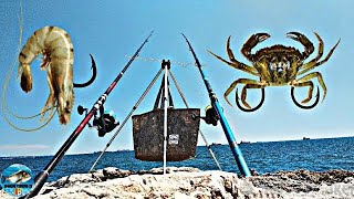 pêche en mer méditerranée 🇫🇷🎣 [upl. by Nicolis631]