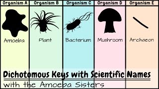 Dichotomous Keys Identification Achievement Unlocked [upl. by Jeffy]