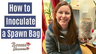 How to Inoculate a Spawn Bag with Agar [upl. by Leilah]