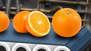 Citrus Factory Gmod Prop Hunt [upl. by Ayahc]