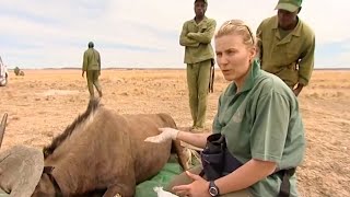 Wildebeest Health Check  Vet Safari  BBC Earth [upl. by Meibers]