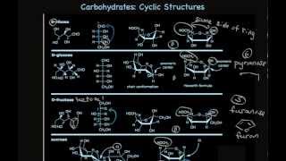 Cyclic Carbohydrate Structures Furanose and Pyranose Sugars [upl. by Qooraf440]