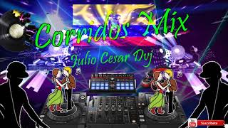 corridos mix bailable pepas [upl. by Jedidiah]