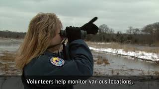 Welcome Video  Edwin B Forsythe National Wildlife Refuge  Closed Captioned [upl. by Nolat]