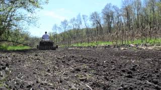 Deer Food Plots in Seven Easy Steps  Tractor Supply Co [upl. by Ahsemo]