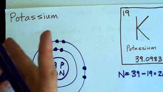 How to Draw BohrRutherford Diagrams  Potassium [upl. by Ellevehc]