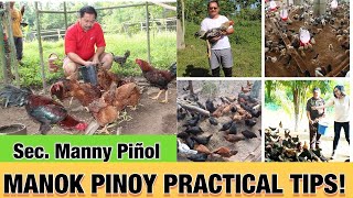 Manok Pinoy Practical Tips by Sec Emmanuel quotMannyquot PiÑol [upl. by Ahsekal309]