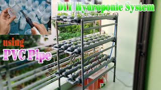 How to make a Hydroponic System at home using PVC Pipe [upl. by Bertrando435]