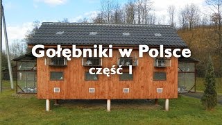 Gołębniki w Polsce  część 1 [upl. by Ettennahs]