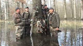 Bowhunting Ducks  Awesome Full Limits [upl. by Attevaj632]