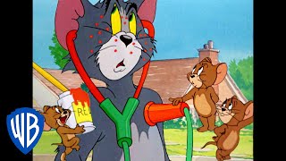 Tom y Jerry en Español  Jerry el burlador  WB Kids [upl. by Eedoj]