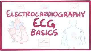 Electrocardiography ECGEKG  basics [upl. by Lancelot346]